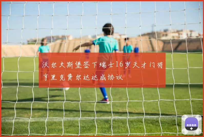 沃尔夫斯堡签下瑞士16岁天才门将亨里克费尔达达成协议