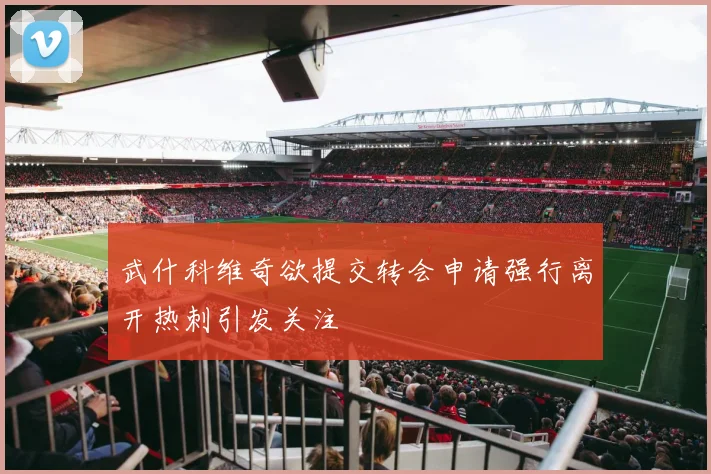 武什科维奇欲提交转会申请强行离开热刺引发关注